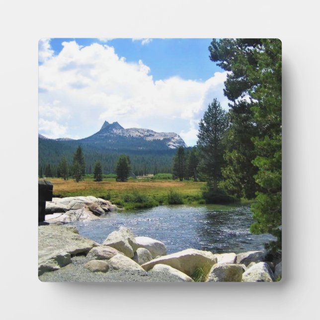 Placa Expositora Pico de la Catedral en las praderas de Tuolumne, Y (Frente)