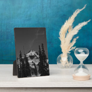 Placa Expositora Pico entre árboles