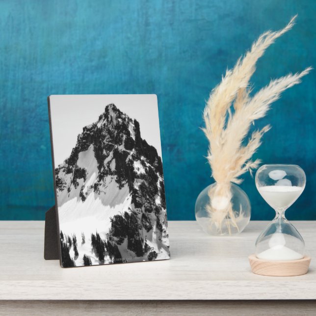 Placa Expositora Piedra, nieve y árboles (Lado)