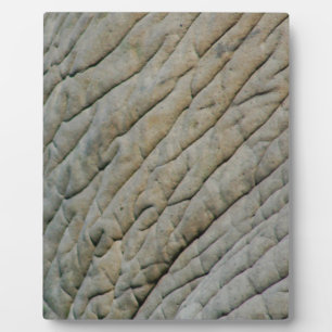 Placa Expositora Piel elefante personalizada con su nombre