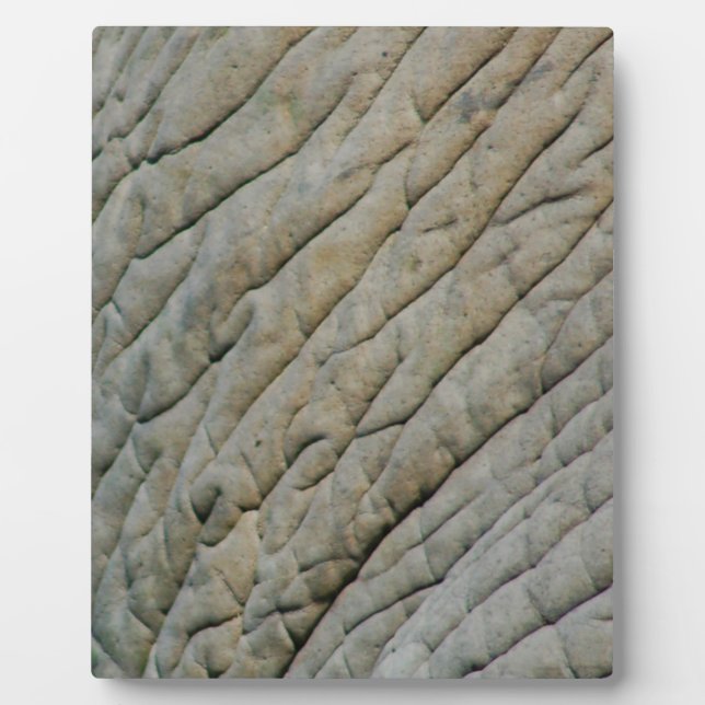 Placa Expositora Piel elefante personalizada con su nombre (Frente)