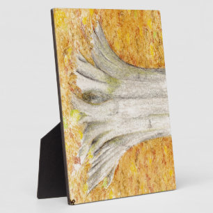 Placa Expositora Pies de voz