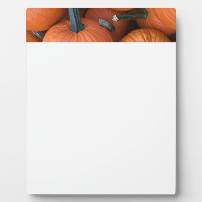 Placa Expositora ¡Pila de calabaza! (Frente)