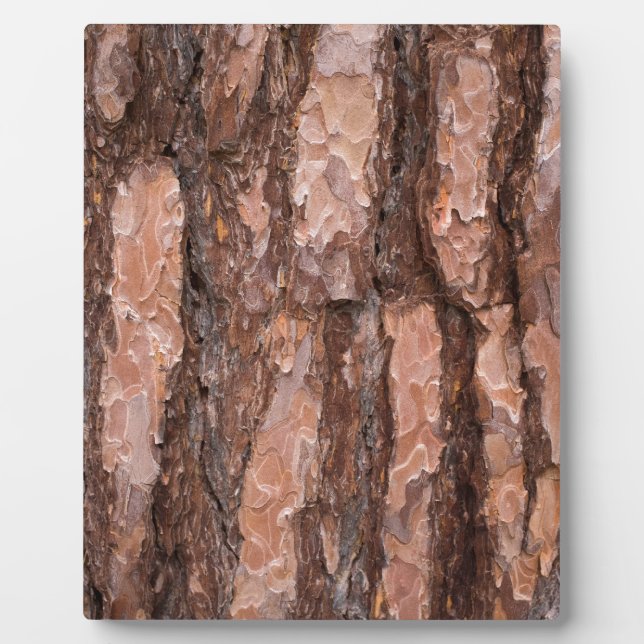 Placa Expositora Pine tree bark texture (Frente)