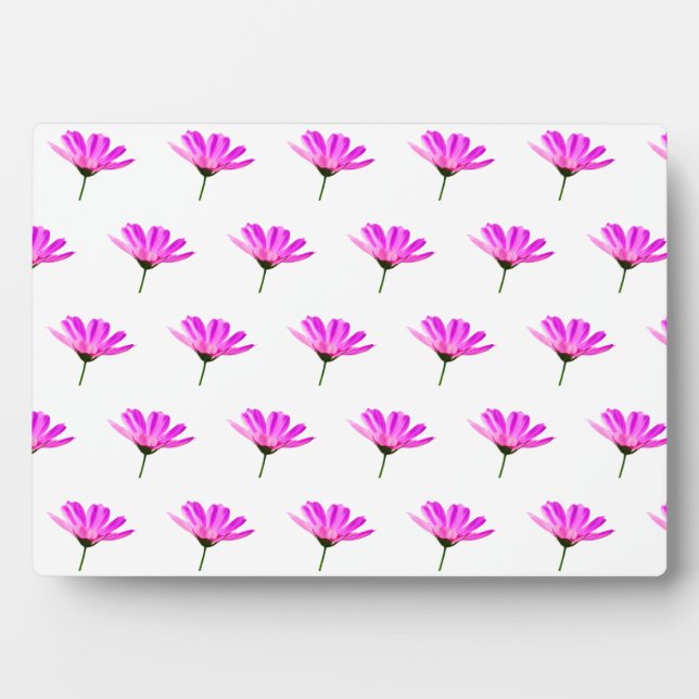 Placa Expositora Pink Daisy (Frente)