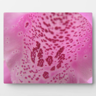 Placa Expositora Pink Foxglove Petal Plaque