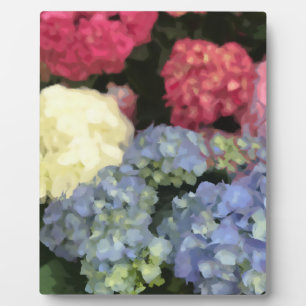 Placa Expositora Pintado digital de flores de hidrangea azul y rosa