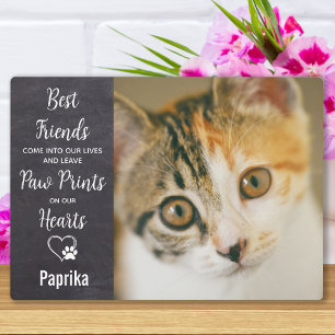 Placa Expositora Pintura Impresiones Mascotas de fotografía persona