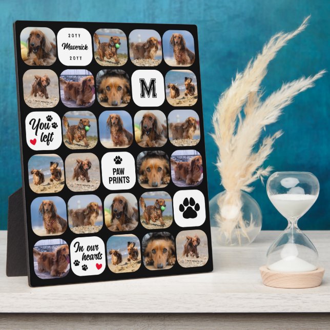 Placa Expositora Pinturas Negras En El Memorial Del Perro Collage D (Lado)