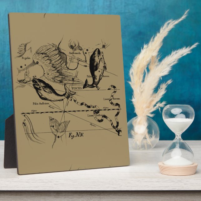 Placa Expositora Pisces Constellation Hevelius Decoración 1690 (Lado)