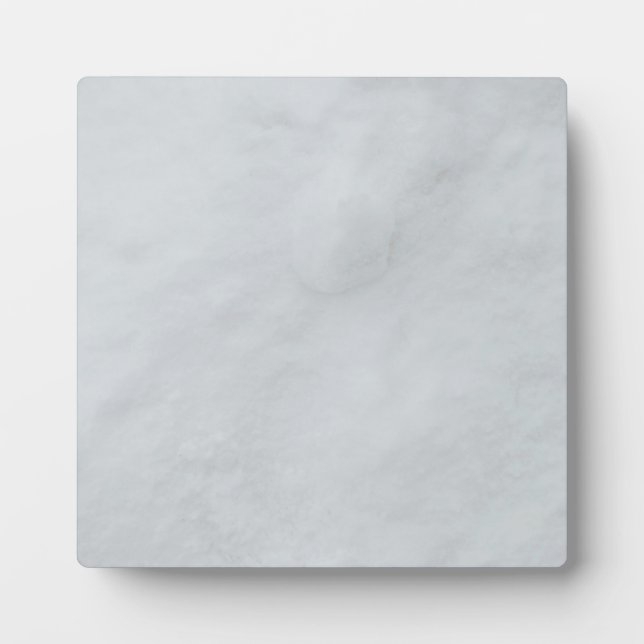 Placa Expositora Piscina de piedra de mármol (Frente)