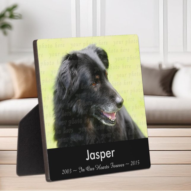 Placa Expositora Plantilla de Foto de Perro En Memoria de Tributo M (In Memory Of Dog Photo Template Memorial Tribute Plaque)