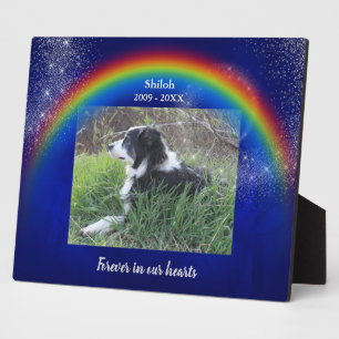 Placa Expositora Plantilla de fotografía en memoria de Mascotas azu