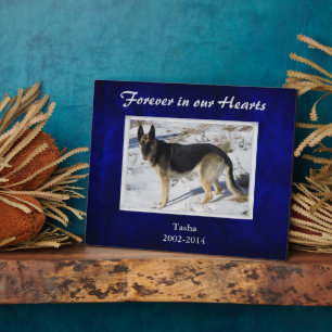 Placa Expositora Plantilla de memorial para mascotas azul real plat