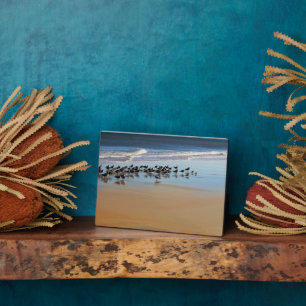 Placa Expositora Plaque Art Decor