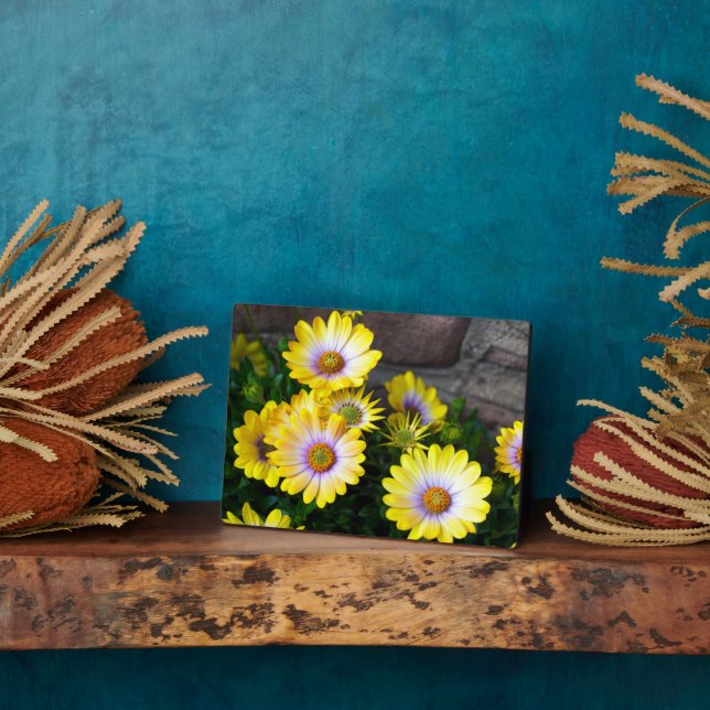 Placa Expositora Plaque Art Decor (Lado)