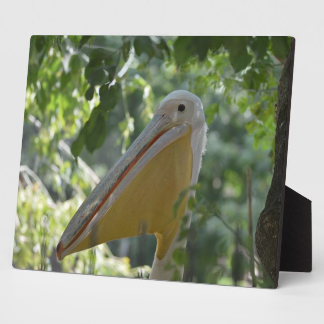 Placa Expositora Plaque con pelícano divertido (Lado)