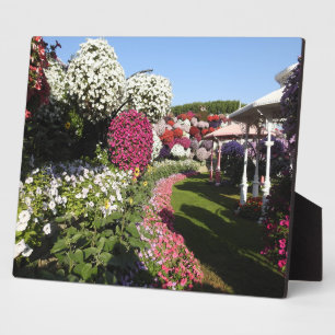 Placa Expositora Plaque con petunias