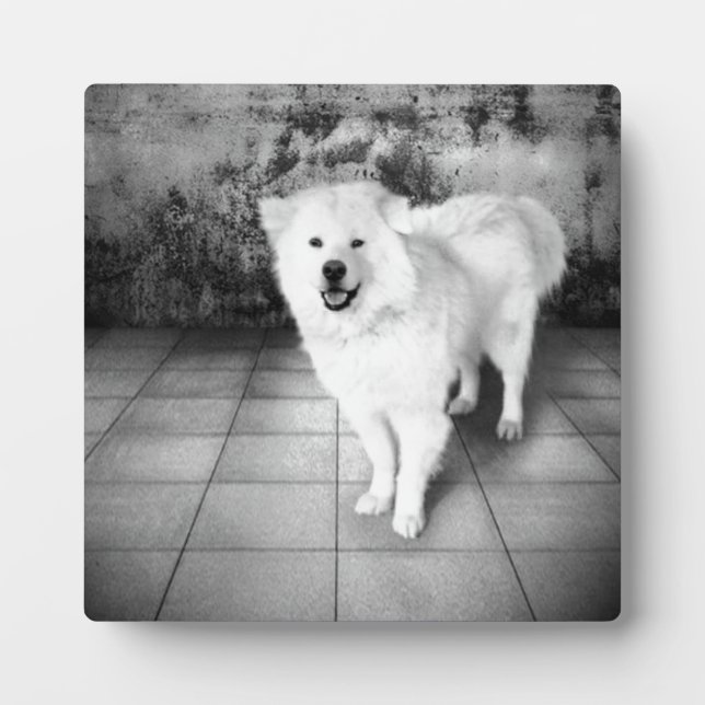 Placa Expositora Plaque de amor fiel (Frente)