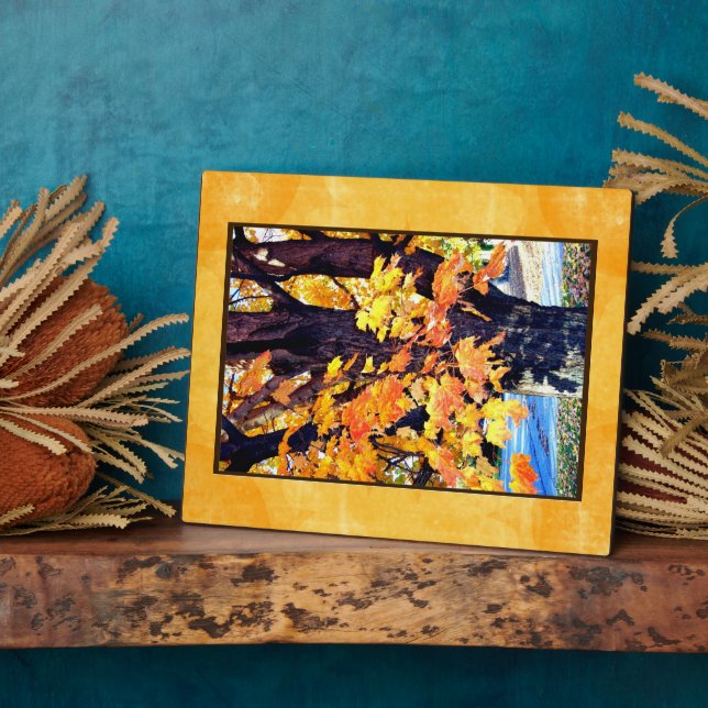 Placa Expositora Plaque de arce (Lado)