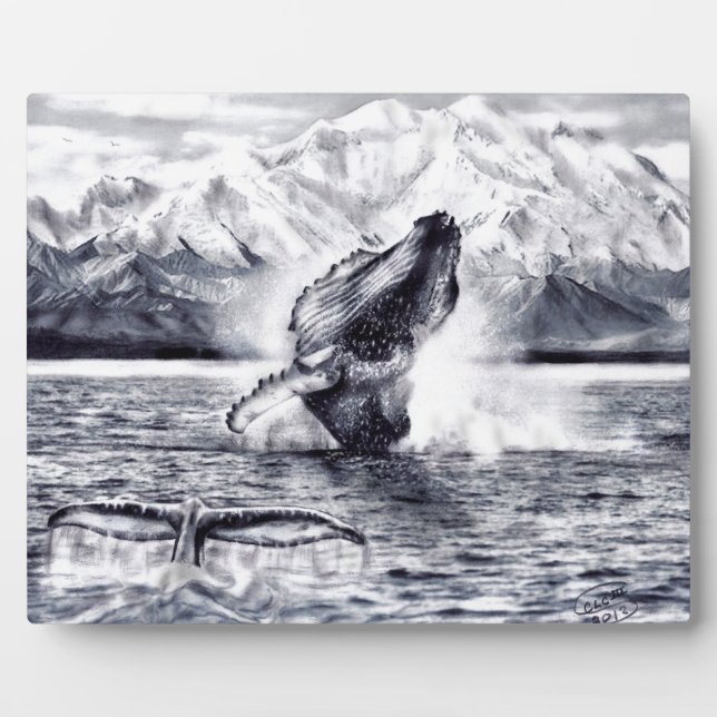 Placa Expositora Plaque de ballenas (Frente)