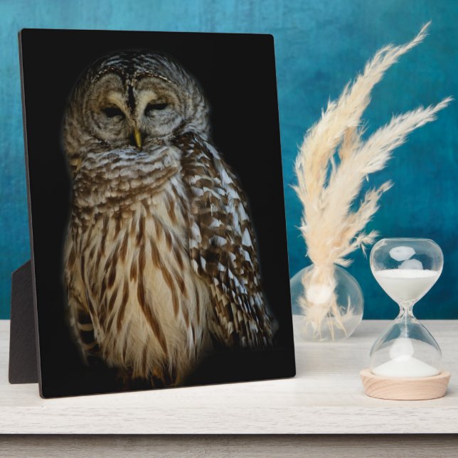Placa Expositora Plaque de búho doroso (Lado)