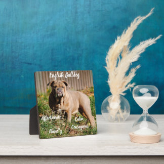 Placa Expositora Plaque de Bulldog inglés con caballete