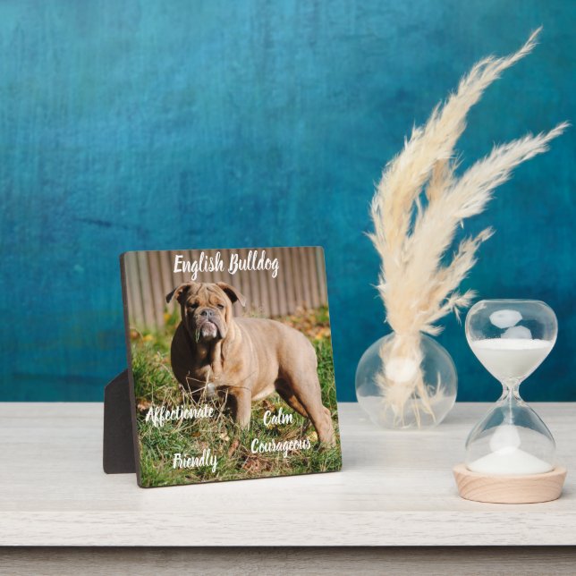 Placa Expositora Plaque de Bulldog inglés con caballete (in situ)