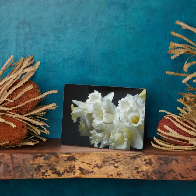 Placa Expositora Plaque de estilo Art Deco (Lado)