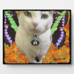 Placa Expositora Plaque de gato de hadas