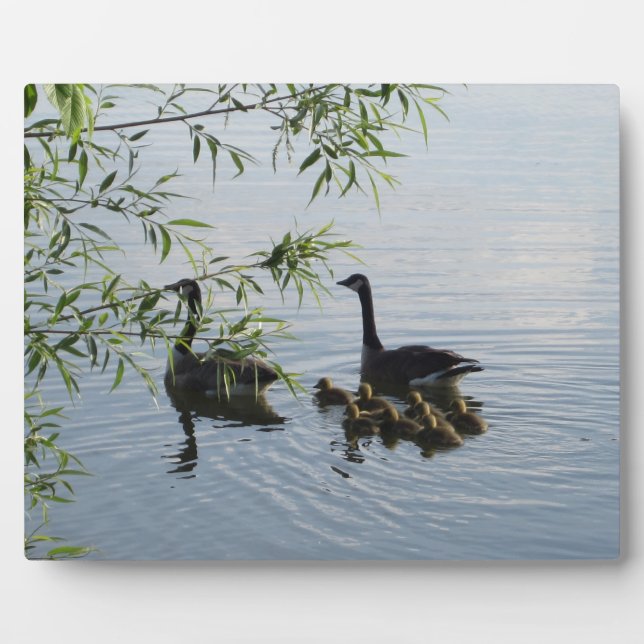 Placa Expositora Plaque de Geese Wild (Frente)