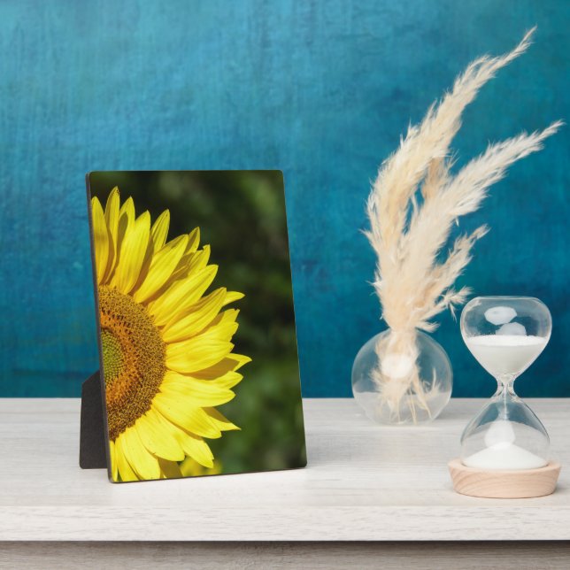 Placa Expositora Plaque de girasol (Lado)