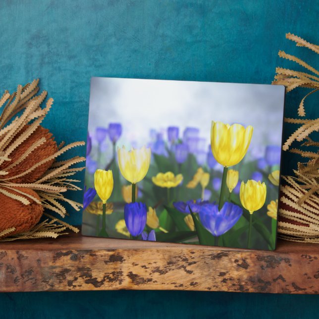 Placa Expositora Plaque de Jubileo de Oro (Lado)