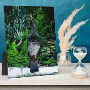 Placa Expositora Plaque de la Madre Turquía