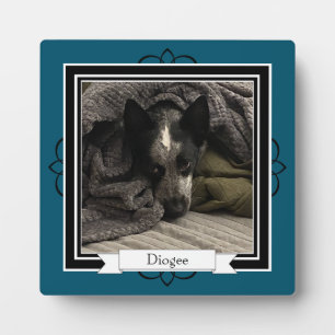 Placa Expositora Plaque de mesa con caballete