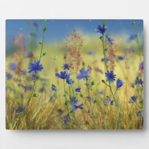 Placa Expositora Plaque de oro y zafiro