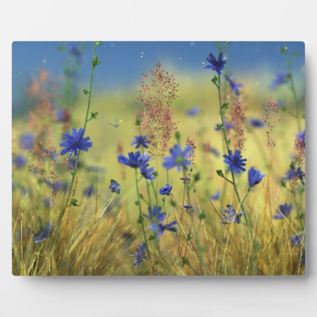 Placa Expositora Plaque de oro y zafiro (Frente)