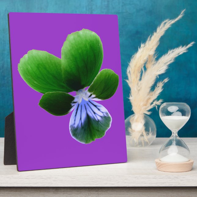 Placa Expositora Plaque de Pansy Verde (Lado)