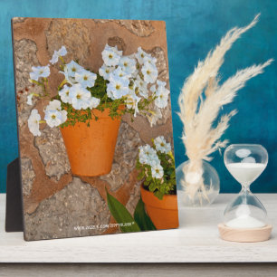 Placa Expositora Plaque de Pared Española