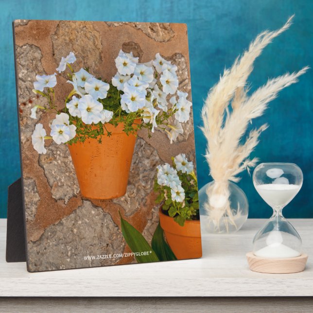 Placa Expositora Plaque de Pared Española (Lado)