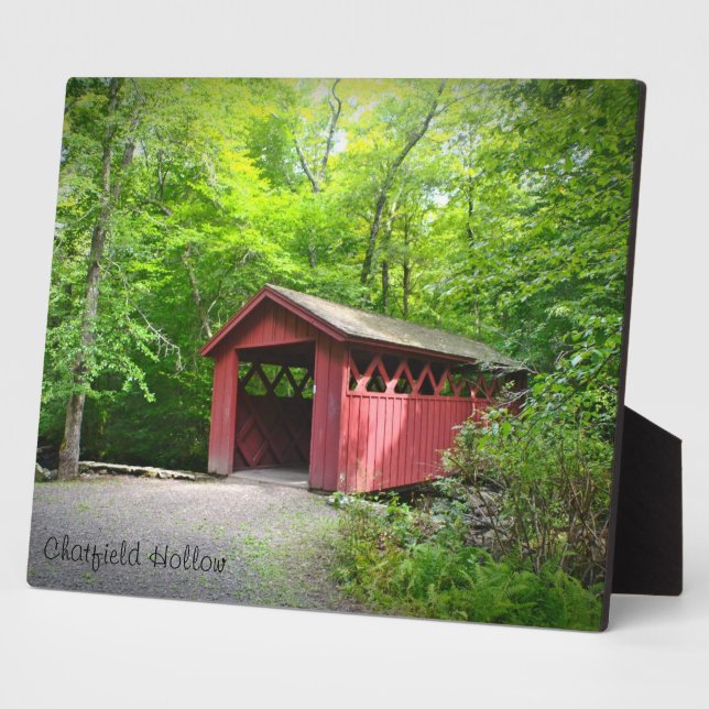 Placa Expositora Plaque de puente cubierto (Lado)