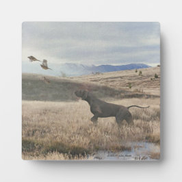 Placa Expositora Plaque de punteros de Shorthal alemán