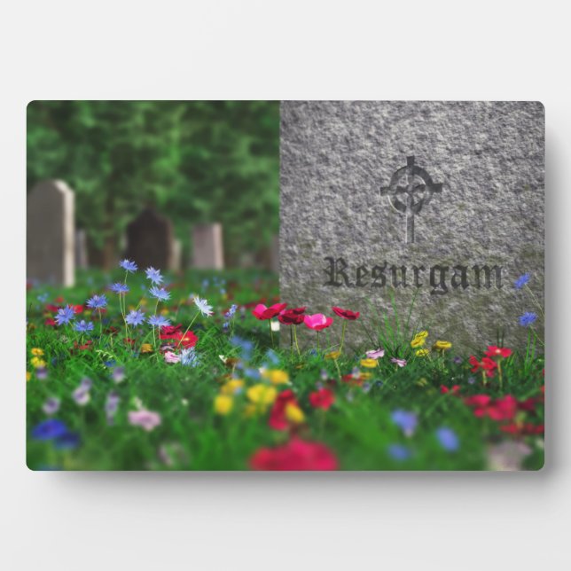 Placa Expositora Plaque de Resurgam (Frente)