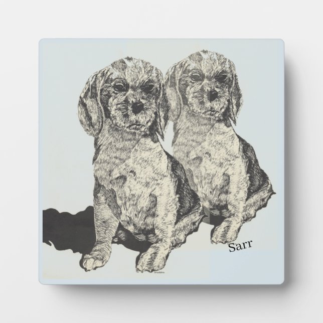 Placa Expositora Plaque de tabletas con comadreja : Cocker Spaniel (Frente)