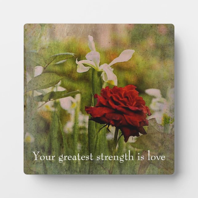 Placa Expositora Plaque de tabletas rojas con caballete (Frente)