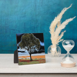 Placa Expositora Plaque del árbol individual del lago Beeac