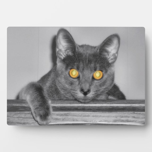 Placa Expositora Plaque Dusky Gold Photo (Frente)