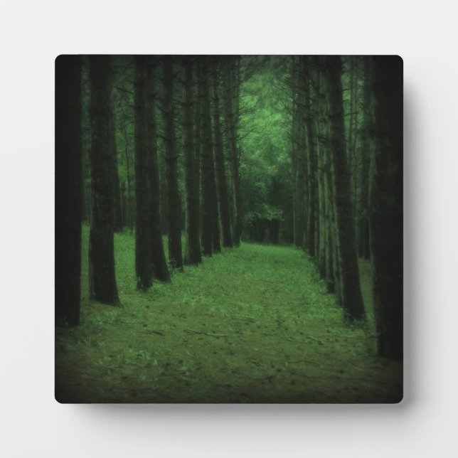 Placa Expositora Plaque forestal encantado (Frente)