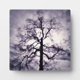 Placa Expositora Plaque fotográfico de Phantastes