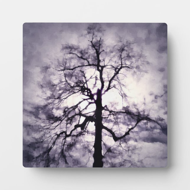 Placa Expositora Plaque fotográfico de Phantastes (Frente)